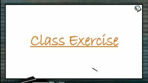 Cell Cycle And Cell Division - Class Exercise (Session 2)