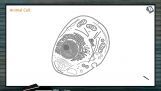Cell The Unit of Life - Animal Cell And Plant Cell (Session 1) Cell The Unit of Life - Animal Cell And Plant Cell (Session 1)