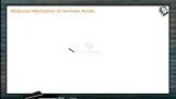 Chemical Coordination - Molecular Mechanism Of Hormone Action (Session 1) Chemical Coordination - Molecular Mechanism Of Hormone Action (Session 1)