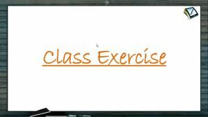 Chemical Equilibrium - Class Exercise (Session 1)