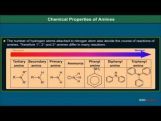 Class 12 Chemistry - Chemical Properties Of Amines Video by MBD Publishers Class 12 Chemistry - Chemical Properties Of Amines Video by MBD Publishers