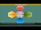Class 12 Chemistry - Cleansing Agents Video by MBD Publishers Class 12 Chemistry - Cleansing Agents Video by MBD Publishers