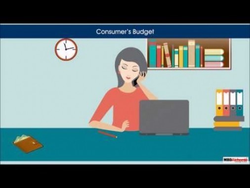 Class 12 Microeconomics - Consumers Budget Video by MBD Publishers
