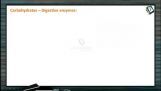 Digestion And Absorption - Carbohydrate Digestion (Session 3) Digestion And Absorption - Carbohydrate Digestion (Session 3)