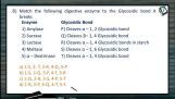 Digestion And Absorption - Class Exercise II (Session 3) Digestion And Absorption - Class Exercise II (Session 3)