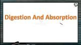 Digestion And Absorption - Introduction Of Digestion And Absorption (Session 3) Digestion And Absorption - Introduction Of Digestion And Absorption (Session 3)
