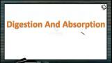 Digestion And Absorption - Lipid Introduction (Session 4) Digestion And Absorption - Lipid Introduction (Session 4)
