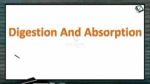 Digestion And Absorption - Minerals (Session 6)