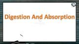 Digestion And Absorption - Vitamin Introduction (Session 5) Digestion And Absorption - Vitamin Introduction (Session 5)