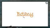 Economic Botany - Fibres, Fruits And Sugar (Session 2) Economic Botany - Fibres, Fruits And Sugar (Session 2)