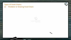 Ecosystem - Predator Or Grazing Food Chain (Session 3)