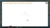 Ecosystem - Saprotrophic Food Chain (Session 3) Ecosystem - Saprotrophic Food Chain (Session 3)