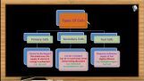 Electrochemistry - Primary Cells (Session 8) Electrochemistry - Primary Cells (Session 8)