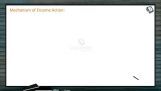 Enzymes - Mechanism Of Enzyme Action (Session 1) Enzymes - Mechanism Of Enzyme Action (Session 1)
