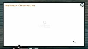 Enzymes - Mechanism Of Enzyme Action (Session 1)