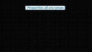 Enzymes - Properties Of Enzymes (Session 1)