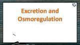 Excretion And Osmoregulation - Nitrogenous Wastes (Session 1) Excretion And Osmoregulation - Nitrogenous Wastes (Session 1)