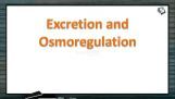 Excretion And Osmoregulation - Physiology Of Excretion (Session 2) Excretion And Osmoregulation - Physiology Of Excretion (Session 2)