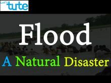 Class 9 Science - Flood - A Natural Disaster Video by Let's tute