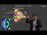 Geometrical Optics - Human Eye Video By Plancess Geometrical Optics - Human Eye Video By Plancess