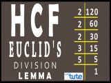 Class 10 Mathematics - HCF And Euclids Division Lemma Video by Lets Tute Class 10 Mathematics - HCF And Euclids Division Lemma Video by Lets Tute