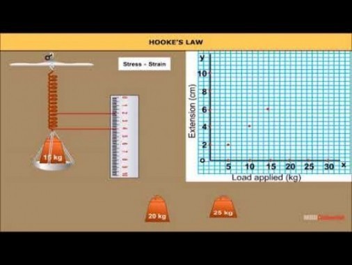Class 11 Physics - Hookes Law Video by MBD Publishers