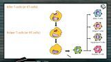 Human Health And Diseases - Cell Mediated Immunity Part II (Session 2) Human Health And Diseases - Cell Mediated Immunity Part II (Session 2)