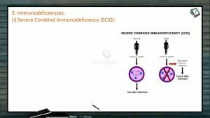 Human Health And Diseases - Immunodeficiencies (Session 3)