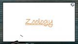 Human Health And Diseases - Introduction To Vector Borne Diseases (Session 8) Human Health And Diseases - Introduction To Vector Borne Diseases (Session 8)