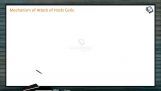 Human Health And Diseases - Mechanism Of Attack Of Hosts Cells (Session 4) Human Health And Diseases - Mechanism Of Attack Of Hosts Cells (Session 4)