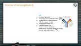 Human Health And Diseases - Structure Of Immunoglobulin Part I (Session 2) Human Health And Diseases - Structure Of Immunoglobulin Part I (Session 2)