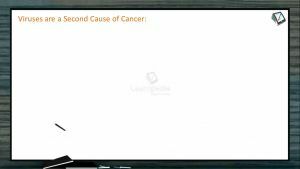Human Health And Diseases - Viruses Are A Second Cause Of Cancer (Session 5)