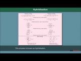 Class 11 Chemistry - Hybridisation Video by MBD Publishers Class 11 Chemistry - Hybridisation Video by MBD Publishers