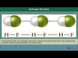 Class 11 Chemistry - Hydrogen Bonding Video by MBD Publishers Class 11 Chemistry - Hydrogen Bonding Video by MBD Publishers