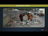 Class 11 Chemistry - Industrial Wastes Video by MBD Publishers Class 11 Chemistry - Industrial Wastes Video by MBD Publishers