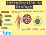 Class 9 Science - Introduction To Biology Video by Let's tute Class 9 Science - Introduction To Biology Video by Let's tute
