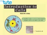 Class 9 Biology - Introduction To Cells Video by Let's tute Class 9 Biology - Introduction To Cells Video by Let's tute