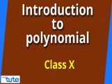 Class 10 Mathematics - Introduction To Polynomials Video by Lets Tute Class 10 Mathematics - Introduction To Polynomials Video by Lets Tute