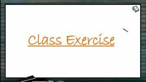 Locomotion And Movement - Class Exercise (Session 7)