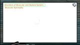 Locomotion And Movement - Disorders Of Muscular System (Session 5) Locomotion And Movement - Disorders Of Muscular System (Session 5)