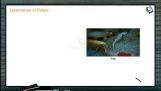 Locomotion And Movement - Locomotion In Vertebrates (Session 1) Locomotion And Movement - Locomotion In Vertebrates (Session 1)