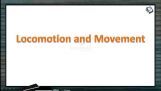 Locomotion And Movement - Types Of Muscles (Session 2) Locomotion And Movement - Types Of Muscles (Session 2)