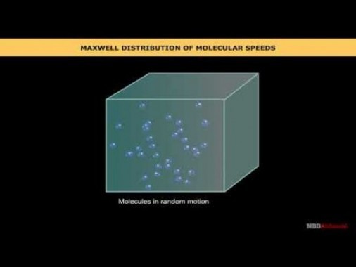 Class 11 Physics - Maxwell Distribution Of Molecular Speeds Video by MBD Publishers