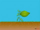 Grade X Structure Of Chloroplast   Grade X Structure Of Chloroplast