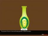 Grade X Sexual Reproduction In Plants   Grade X Sexual Reproduction In Plants