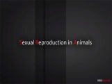 Grade X Sexual Reproduction In Animals   Grade X Sexual Reproduction In Animals
