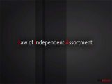 Grade X Law Of Independent Assortment   Grade X Law Of Independent Assortment