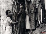 Grade X Chipko Movement    Grade X Chipko Movement