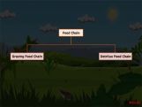 Grade X Types Of Food Chains   Grade X Types Of Food Chains