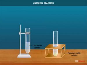 Grade X Chemical Reaction